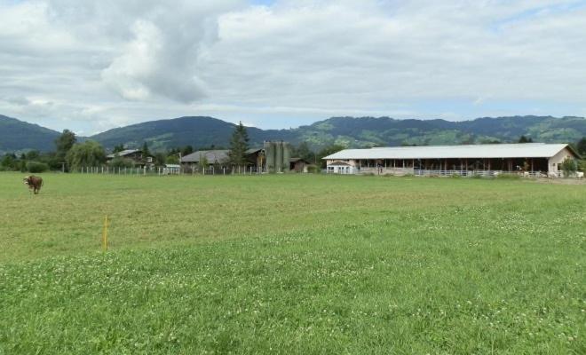 Villa Steigmatt Bauernhof- Erlebnis Montlingen Esterno foto