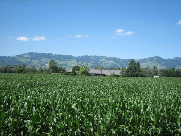 Villa Steigmatt Bauernhof- Erlebnis Montlingen Esterno foto